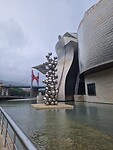 Guggenheim museum