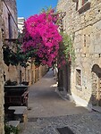 Mesta
