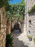 Mesta