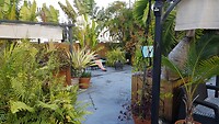 Even genieten van deze prachtige tuin van Hotel Oasis