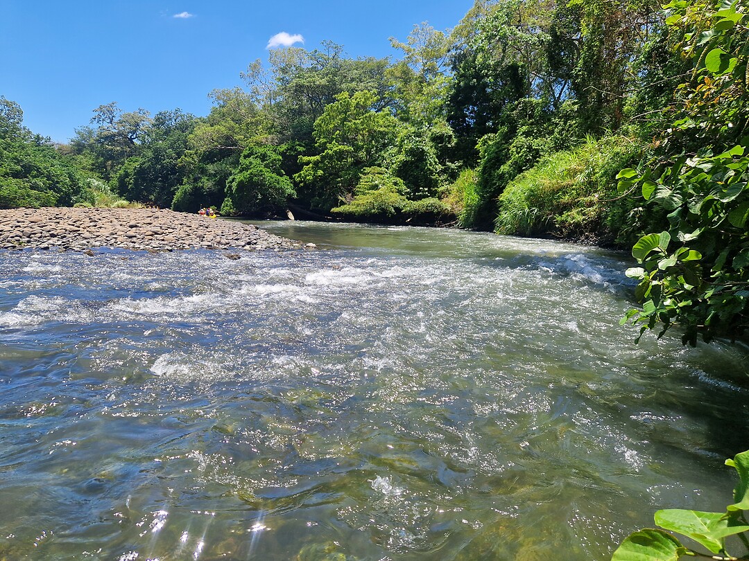 Rio Tenorio