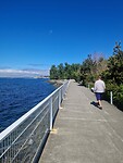 The Elliot Bay Trail