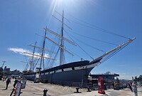 The wavertree