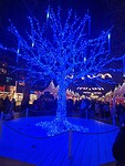 Boom op de Gustusmarkt