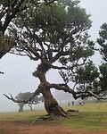 20260529_125352
