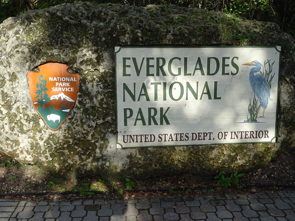 Everglades