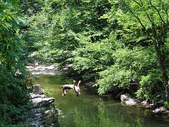 Riviertje springen