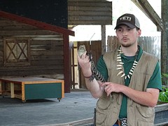 Uitleg over de dieren in Okefenokee