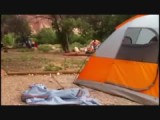 Een hert naast de tent in Zion vanmorgen