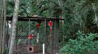 IMG_20190715_053646