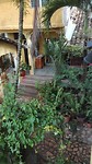 IMG_20190717_082312