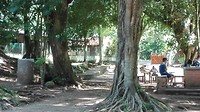 IMG_20190719_145816