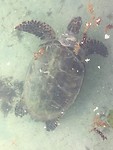IMG-20190801-WA0008