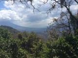 earth lodge 1