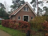 IMG_4369