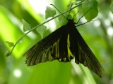 P1050051