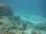 DSCF3673_1