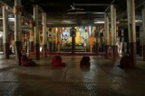 DSC01461_1
