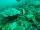 G1382880