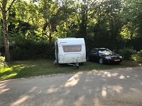 IMG_4296