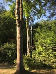 IMG_4280