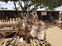 De fetish/voodoomarkt in Lomé