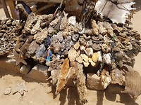 De fetish/voodoomarkt in Lomé