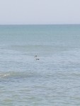 20190416_152126