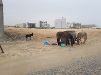 20220112_112947