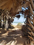 Op weg naar het strand van Baobab resort