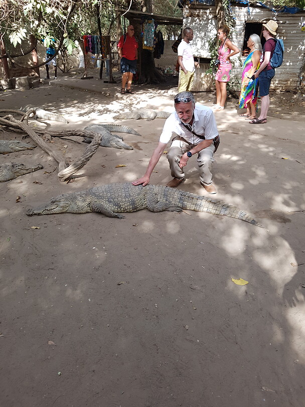 Crocodilefarm