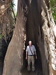 Baobab in historisch museum bij crocodilefarm