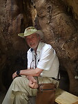 In het midden van een baobab