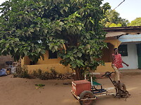 Woning Jassey