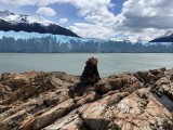Perito Moreno vanop strand