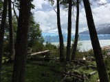 Perito Moreno vanuit bos
