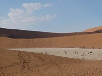 Deadvlei