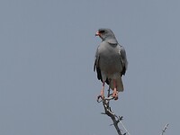 P1020139