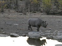 P1020044