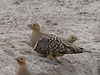P1020243