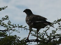 P1020439