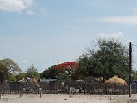 P1020481