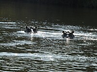 P1020518