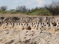 P1020558