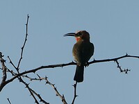 P1020564