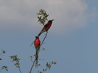 P1020566