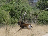 P1020846