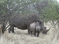 Moeder met 5 maanden oud jong