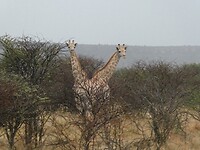 P1030328