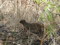 P1030395